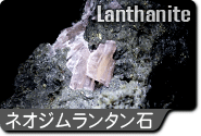 ネオジムランタン石(ランタナイト)ねおじむらんたんいし