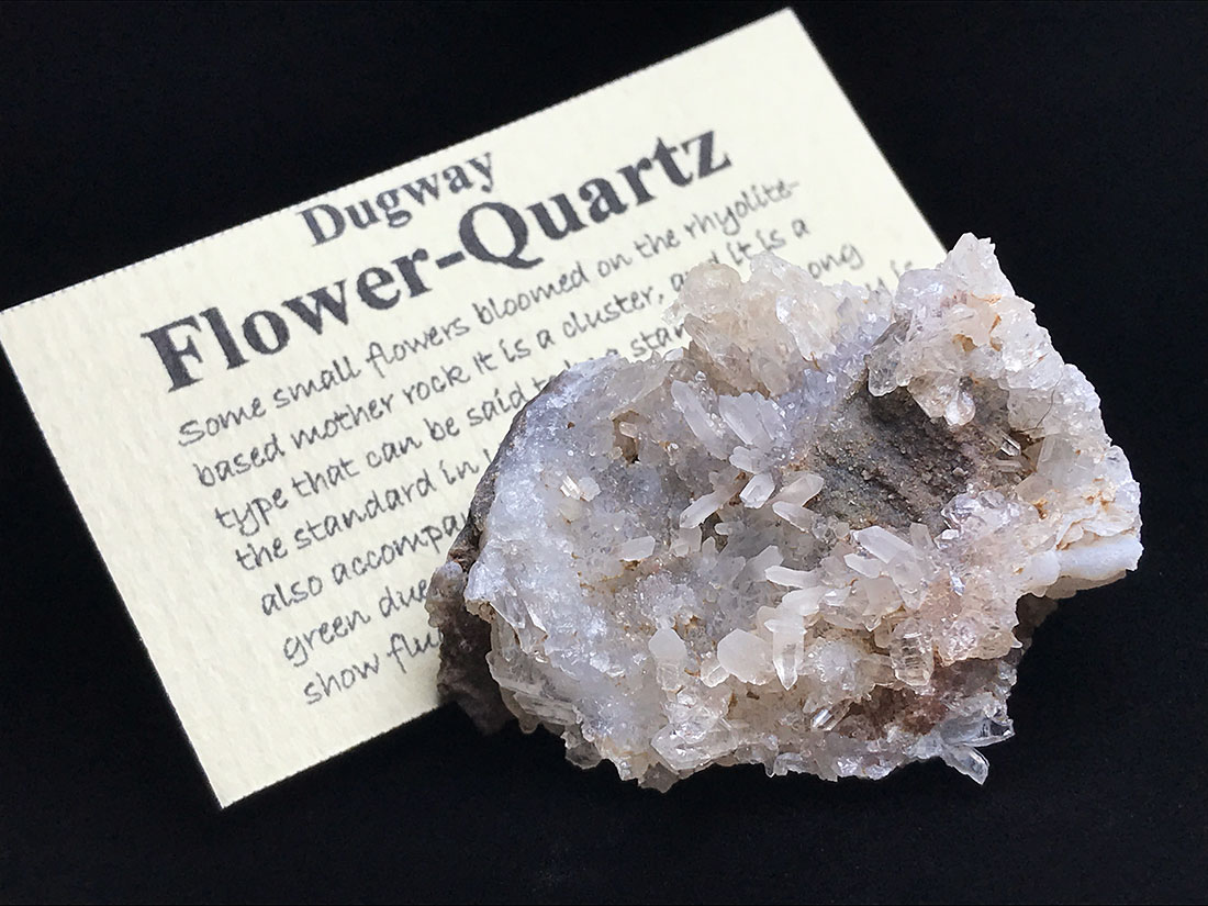 天然石・水晶・鉱物原石専門店【The Stone of WAKOU】 ユタ州産 ダグウェイ水晶/Dugway Flower Quartz