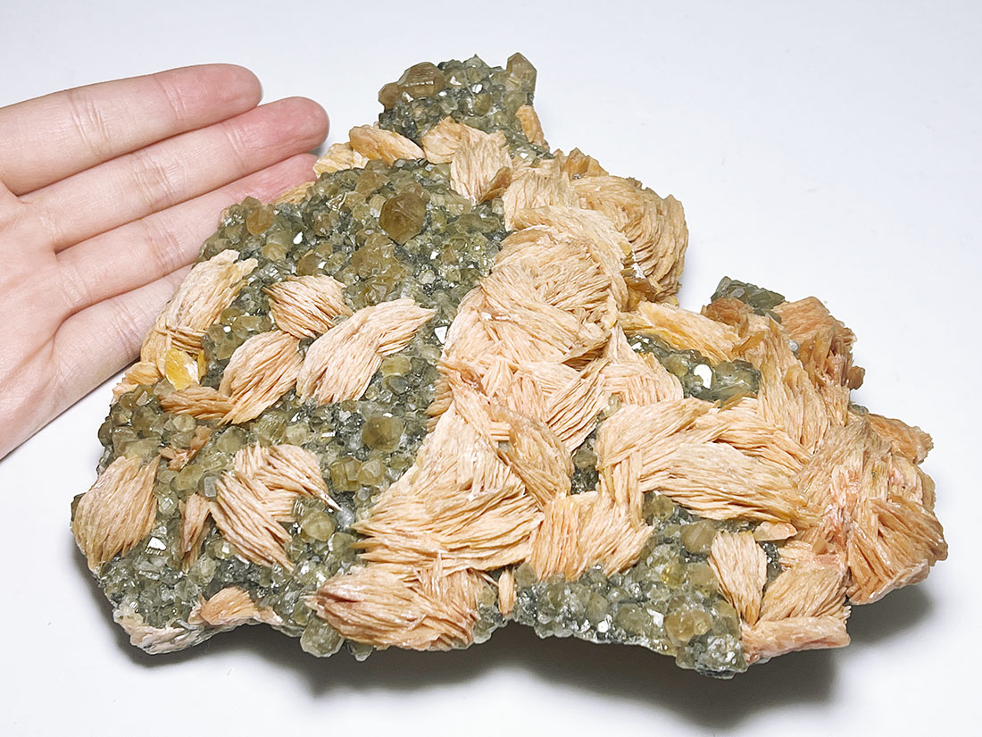 ギベオン隕石 32.7g ナミビア 鉄隕石 メテオライト - 科学、自然